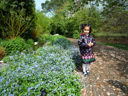 18 April Kew 9.jpg